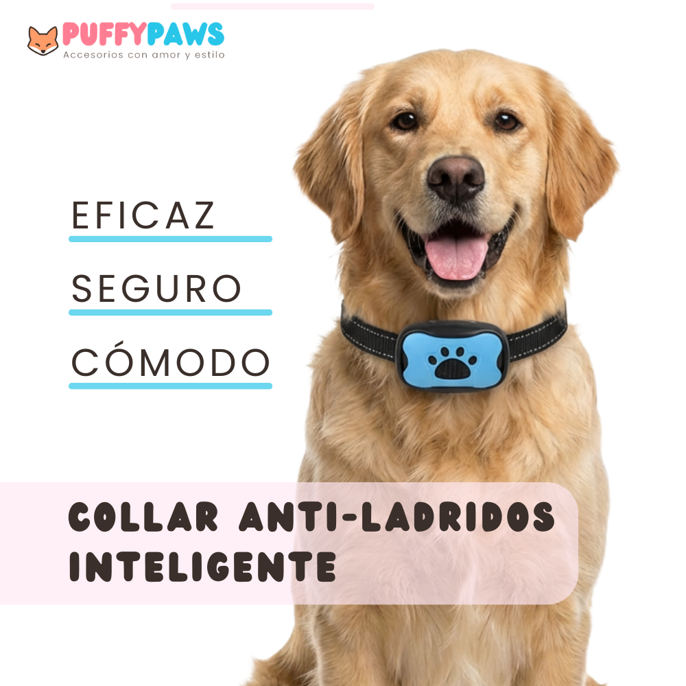 Collar antiladrido BarkWise™ | Adiestramiento humano por vibración (Recargable)