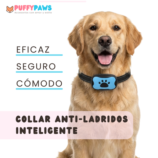 Collar antiladrido BarkWise™ | Adiestramiento humano por vibración (Recargable)