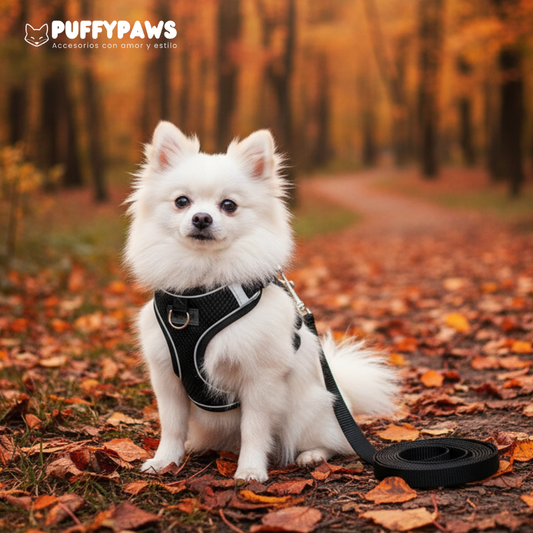 Chaleco arnés para perros con liberación rápida y tiras reflectantes
