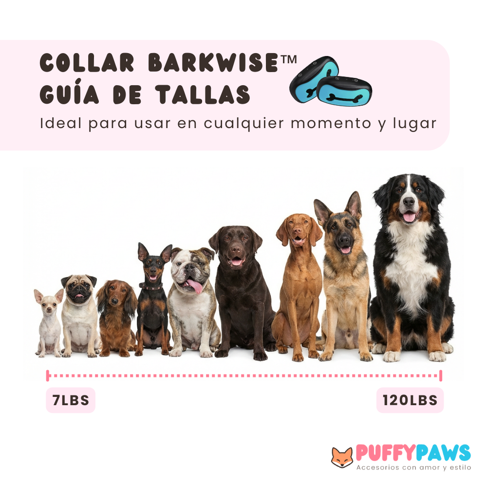 Collar antiladrido BarkWise™ | Adiestramiento humano por vibración (Recargable)