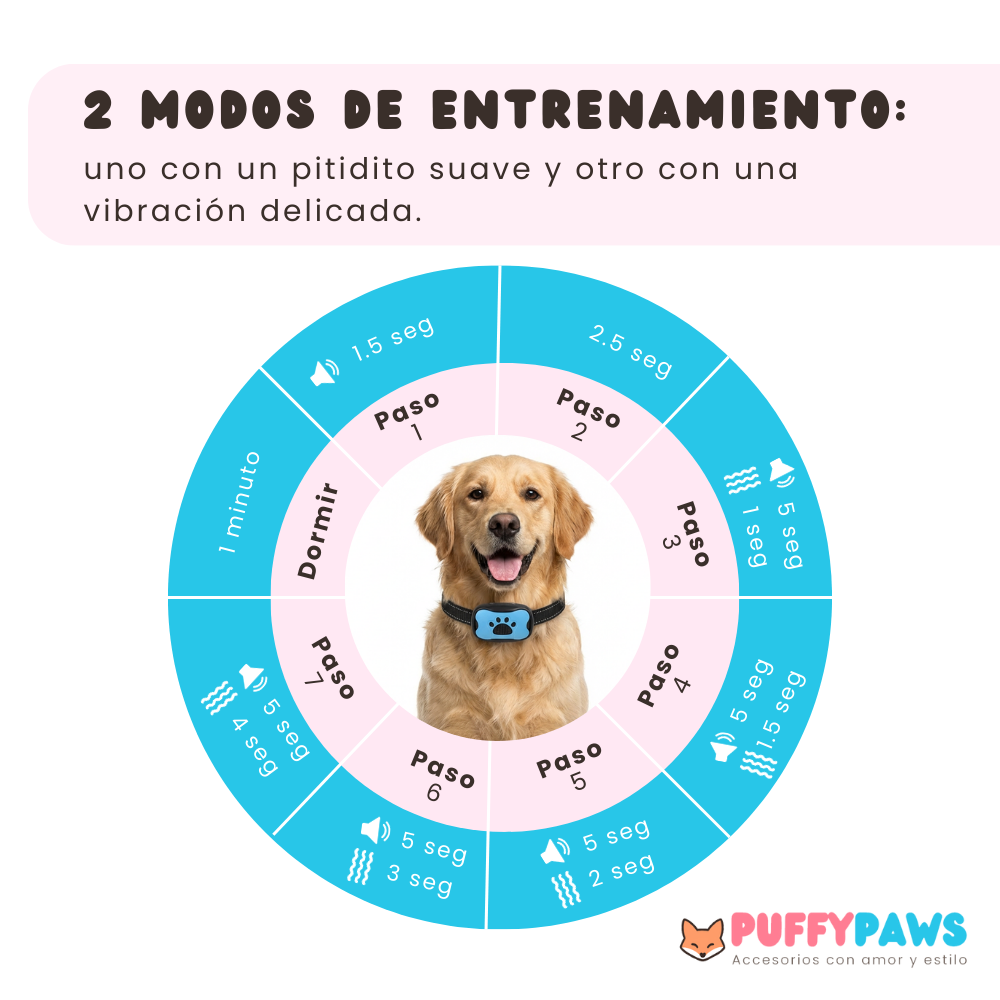 Collar antiladrido BarkWise™ | Adiestramiento humano por vibración (Recargable)