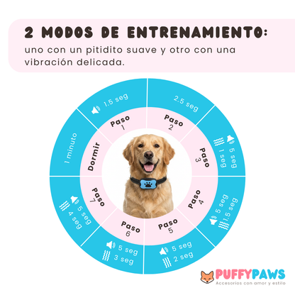 Collar antiladrido BarkWise™ | Adiestramiento humano por vibración (Recargable)